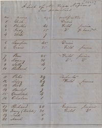 117. List of Fife Plantation Negroes -- 1851