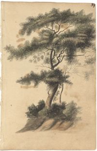 Landscape painting, tree on bluff