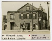 Survey photo of 19 Elizabeth Street