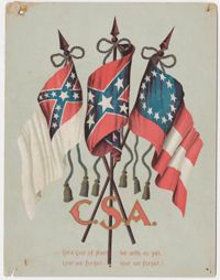225. Confederate flags -- n.d
