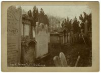 Israel. Friedhof - Währing