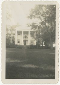 McLeod Plantation 1950