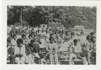 Crowd of People Seated Outdoors