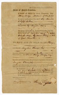 Bill of Sale for the Enslaved Man Pliny Sold from Henry Tovey to Langdon Cheves Sr., 1817
