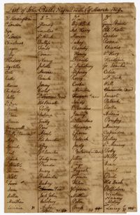 List of Enslaved Persons Owned by John Ball at Various Plantations, 1809