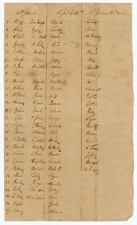 List of Enslaved Men Liable for Road Duty at Limerick, Quinby, and Jericho Plantations, 1817