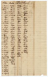 Enslaved Men Liable for Road Duty from Limerick, Jericho, and Quinby Plantations, 1820