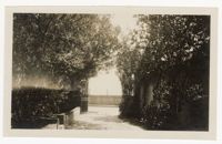 Photograph of Edmondston-Alston House Driveway