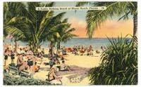 A Public Bathing Beach at Miami Beach Florida