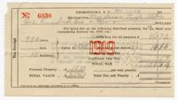 Susan Alston 1919 Georgetown County Tax Receipt