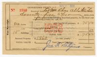 Susan Alston 1908 Georgetown County Tax Receipt