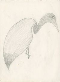 Sketch of egret