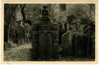 Praha - Židovský hřbitov. / Jewish Cemetery. / Jüdischer Friedhof. / Cimetière juif.