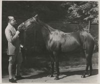Mario Pansa leading a horse, Photograph 1
