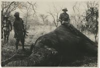 Mario Pansa atop an elephant in Abyssinia, Photograph 2