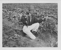 Man in a Cucumber Field