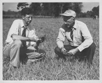 Two Men Examining Grasses in Field