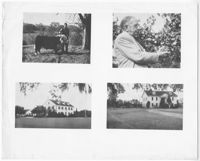 Print of Various Photographs