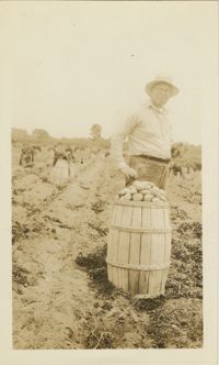 Man Next To a Barrel of Potatoes