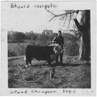 Edward Walpole with Champion Bull