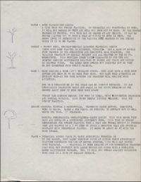 Tree types and information