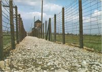 Muzeum na Majdanku b. hitlerowski obóz koncentracyjny. Ogrodzenie pól więźniarskich, w głębi wieże strażnicze.