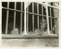 Photograph: Two girls pose at jail in which they were held after being arrested in a peaceful demonstration in Americus, GA in 1963