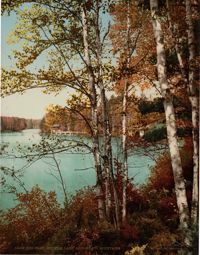 The Inlet, Spit Fire Lake, Adirondack Mountains
