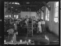 Youngblood Packing Plant production line