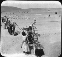 Native Boys Spinning Cotton, Egypt.
