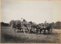 Loaded hay wagon in Altona
