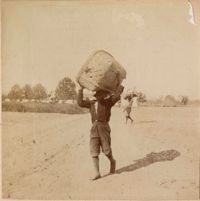 Man carrying basket