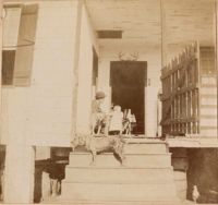 Man, child, and three dogs on porch