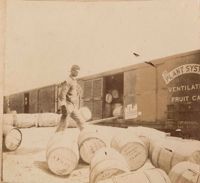 Barrels ready to roll into ventilated railroad car