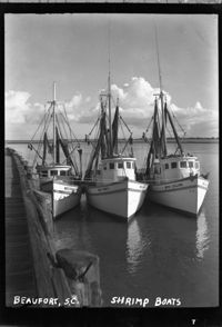 Beaufort, S.C. Shrimp boats