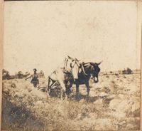 Man plowing with two horse team