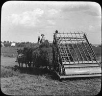 Alfalfa Hay and Loader on farm of W.J. Bryan, Lincoln, Nebraska.