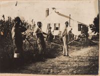 Workers near the dependency at Halls Island