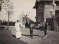 Horse and hostler in Altona