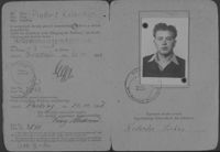 Pincus Kolender's drivers license, Pocking, Germany 1946