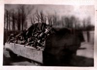 Buchenwald Image 08